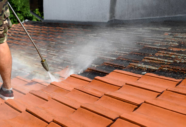 Best Affordable Pressure Washing  in Bridge City, TX