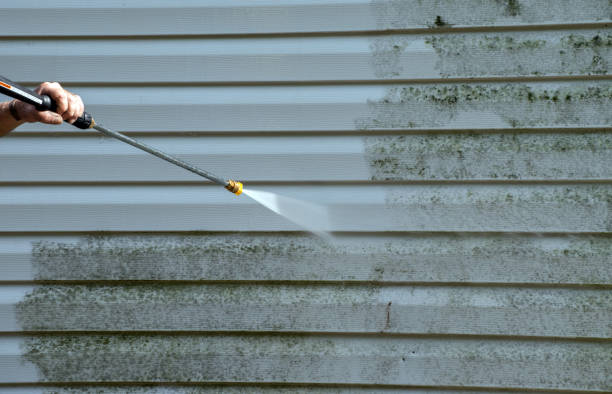 Best Pressure Washing Patio  in Bridge City, TX