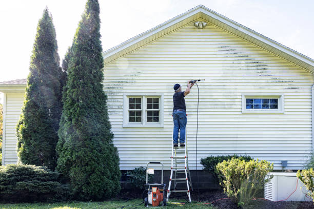Best Concrete Pressure Washing  in Bridge City, TX