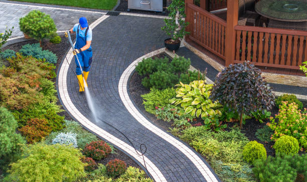 Best Roof Pressure Washing  in Bridge City, TX